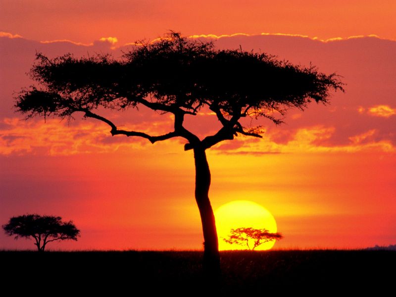 Atardecer en Parque Masai Mara Kenia
